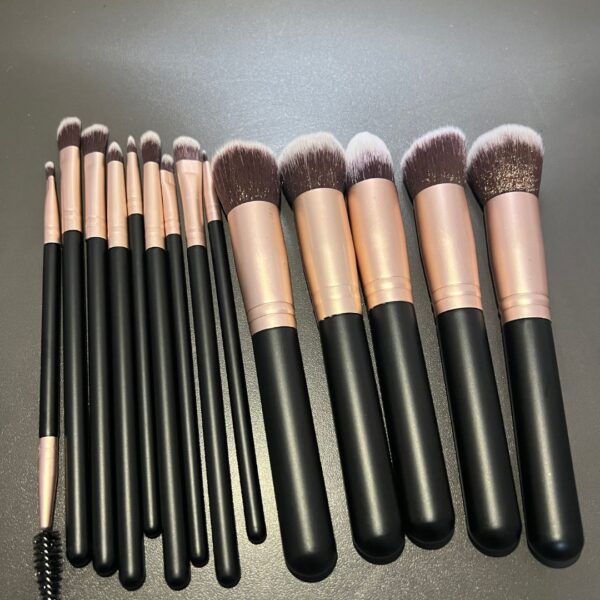 14 Piece Makeup Brush set