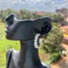 Gleaming Arc Earrings